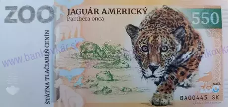 630 ZOO Bratislava Lev juhoafrický-1