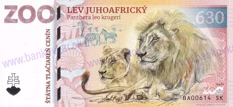 630 ZOO Bratislava Lev juhoafrický-1