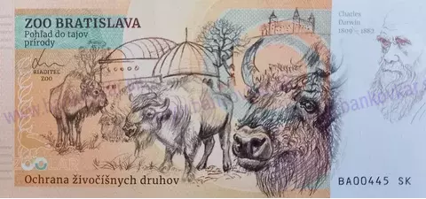 630 ZOO Bratislava Lev juhoafrický-2