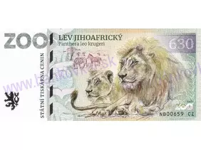 630 ZOO CHLEBY (Lev jihoafrický) 2024