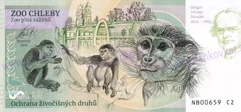 630 ZOO CHLEBY Lev jihoafrický