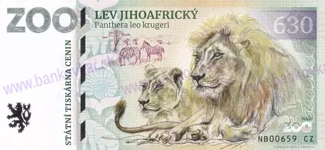 630 ZOO CHLEBY Lev jihoafrický