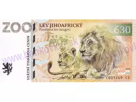 630 ZOO DVOREC (Lev jihoafrický) 2024