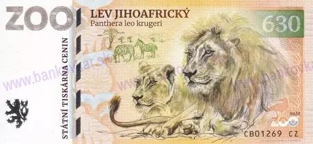 630 ZOO DVOREC Lev jihoafrický 2024