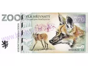 770 ZOO BRNO (Vlk hřivnatý) 2025