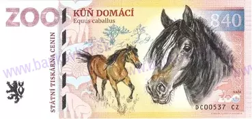 840 ZOO DĚČÍN (Kůň domácí) 2026