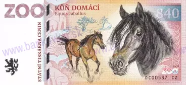 840 ZOO DĚČÍN (Kůň domácí) 2026