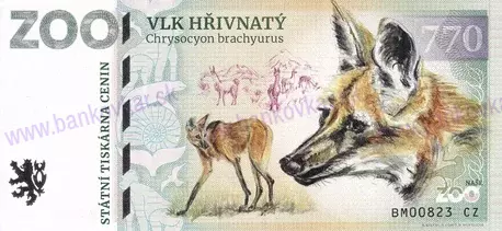 850 ZOO BRNO Tygr sumaterský 2025