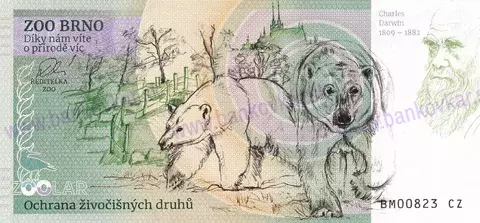 850 ZOO BRNO Tygr sumaterský 2025