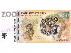 850 ZOO BRNO (Tygr sumaterský) 2025