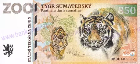 850 ZOO BRNO Tygr sumaterský 2025