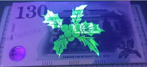 Arborétum Mlyňany SKAC 2023