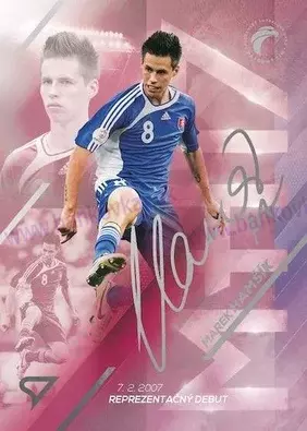 Slovenskí sokoli 2024 (SPORTZOO) MH17